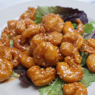 Mandarin Shrimp